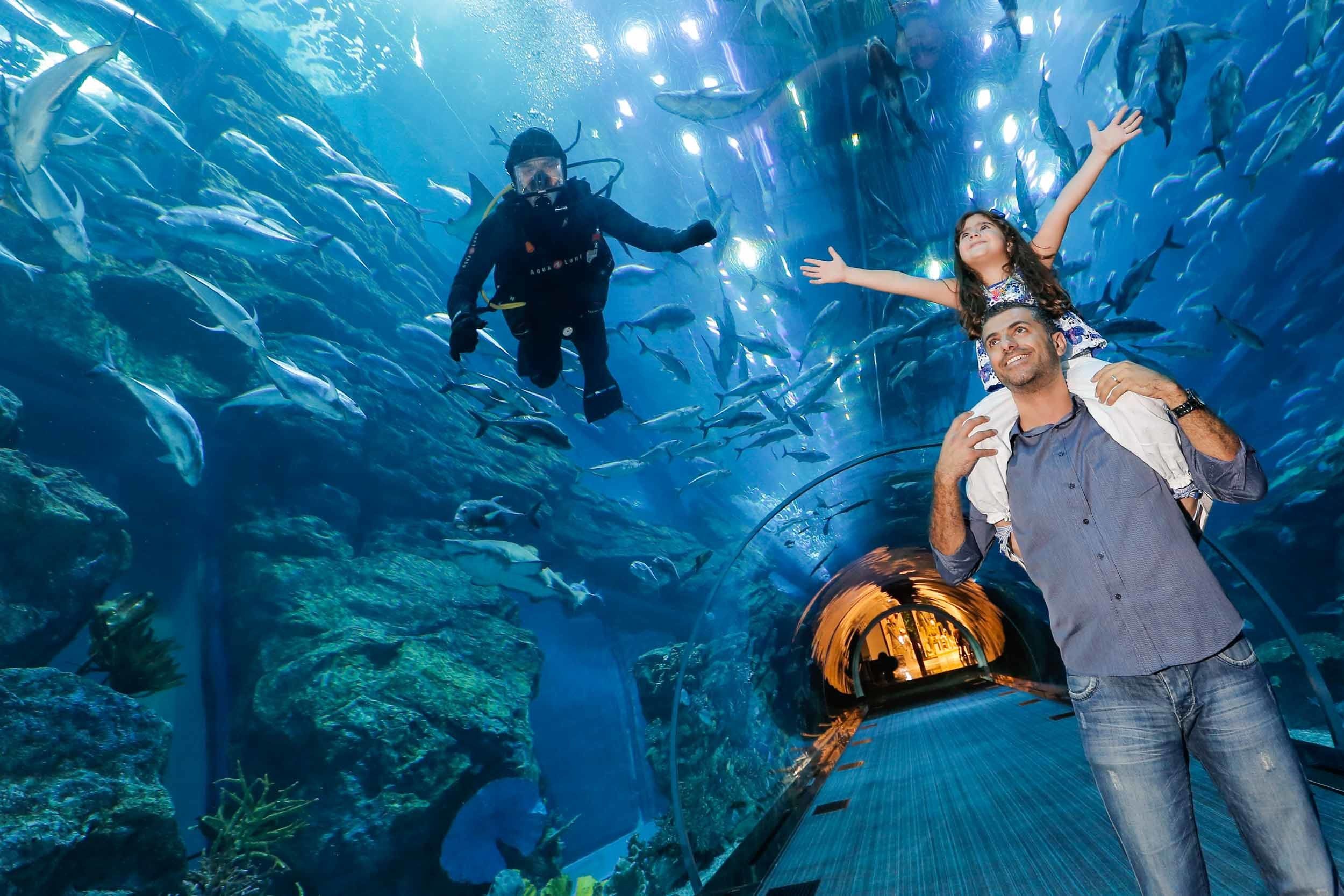 Dubai Aquarium Underwater Zoo Compare Tours And Tickets To