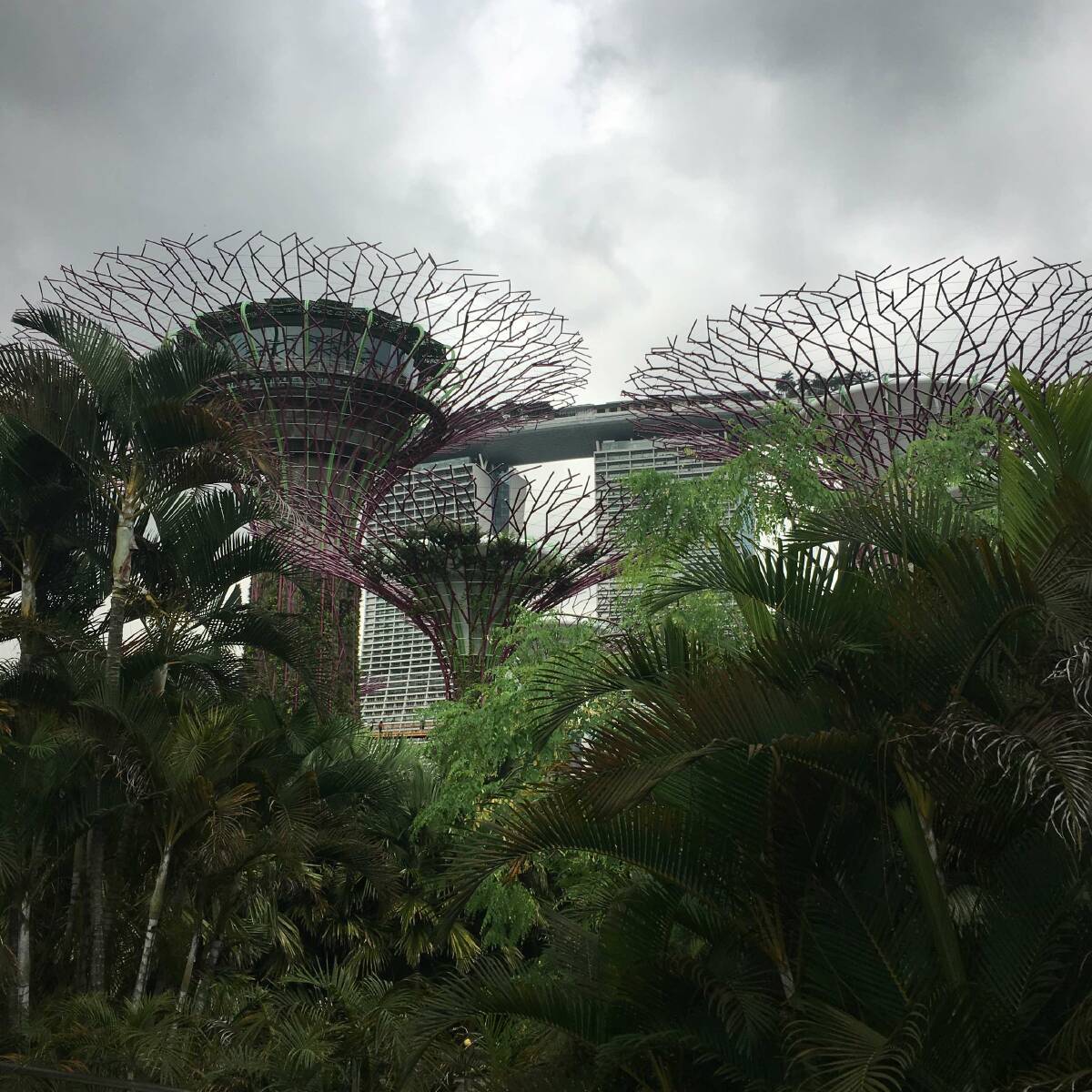 Gardens by the Bay - Vergleiche Preise für Tickets und  