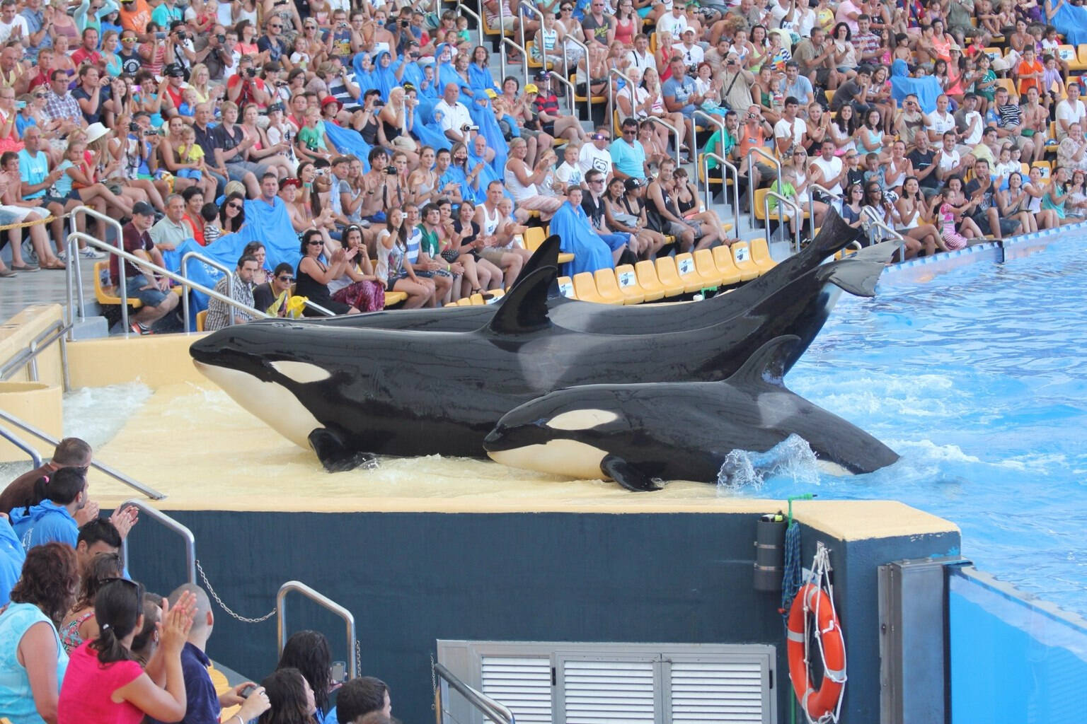 Loro Parque - Vergleiche Touren und Tickets für den ...